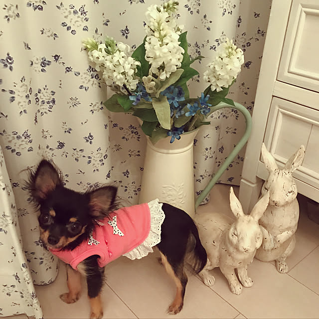 cocoluluさんの実例写真