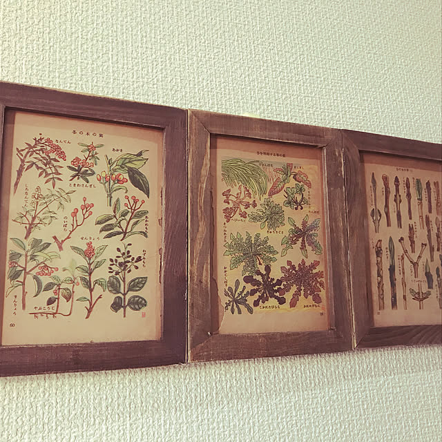 chanta712さんの実例写真