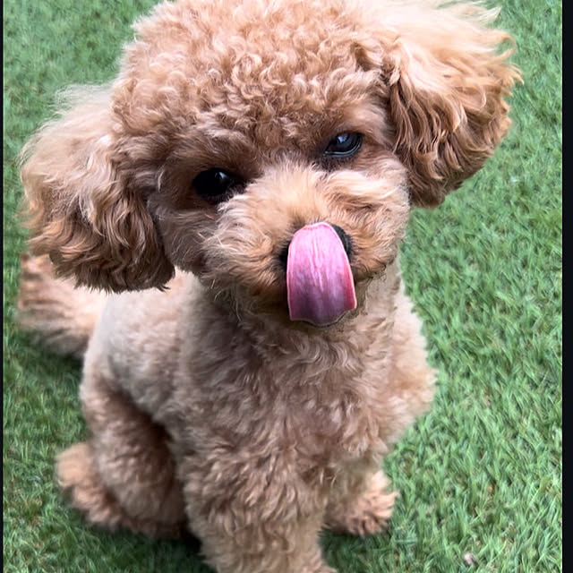 makiさんの実例写真