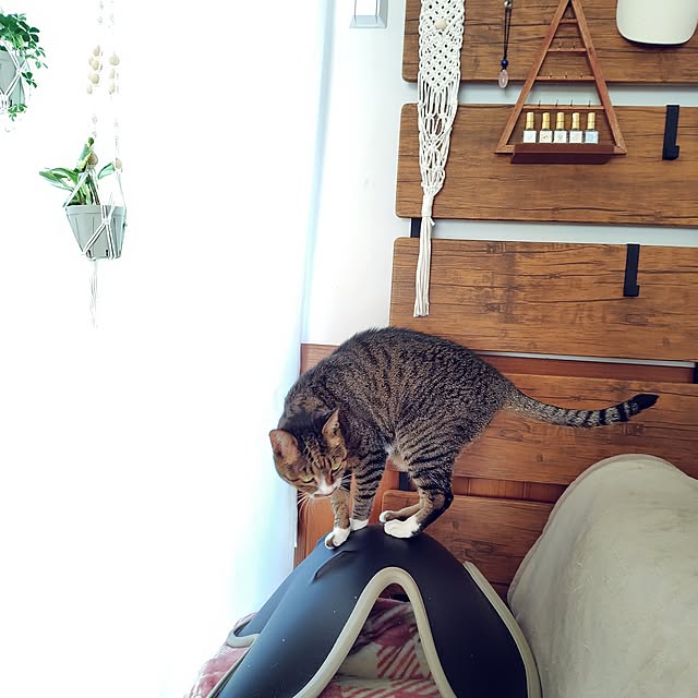 nachiさんの実例写真