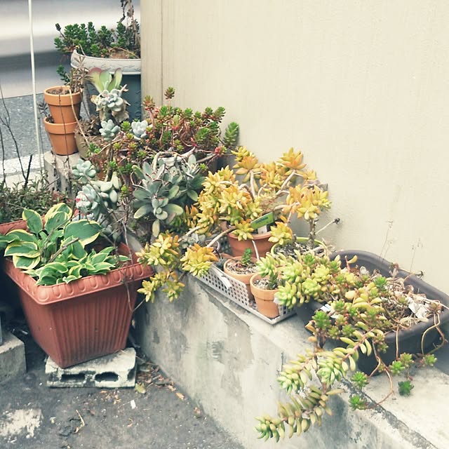 satominさんの実例写真