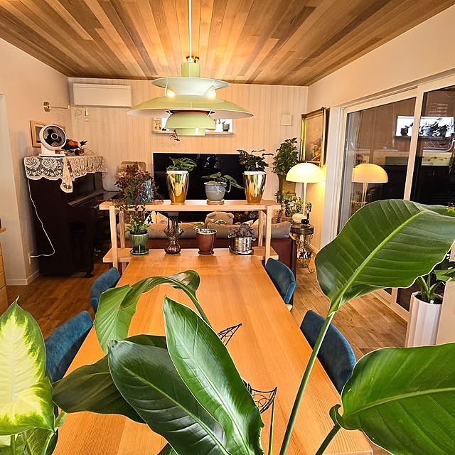 nonbiri_house_さんの部屋
