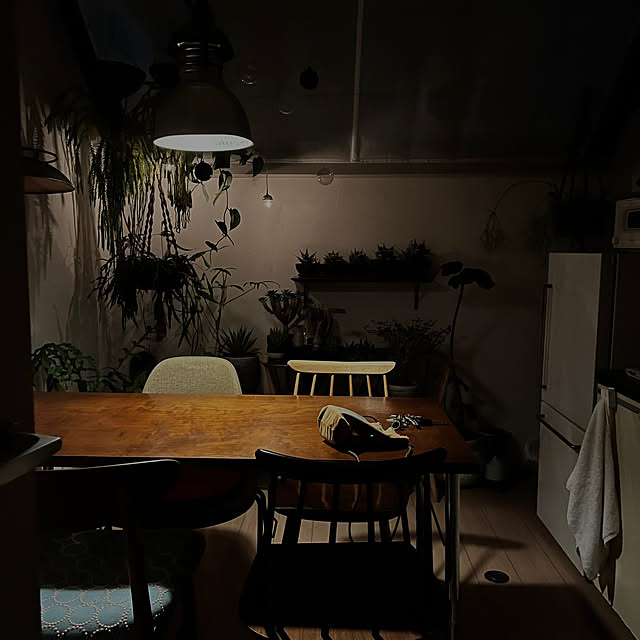 キッチンのインテリア実例 - 2023-07-19 09:48:12