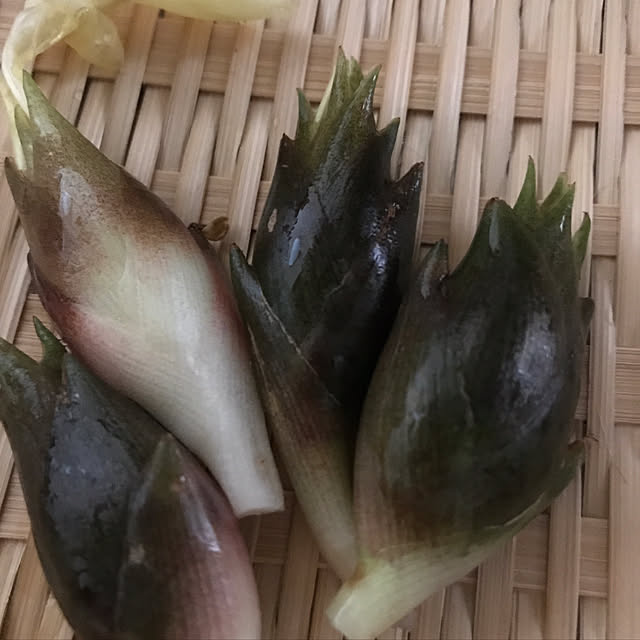 enchiさんの実例写真