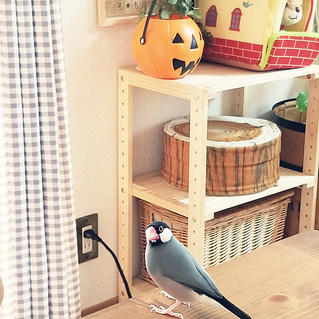 miiさんの実例写真