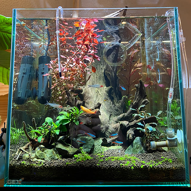 YUUKIさんの実例写真