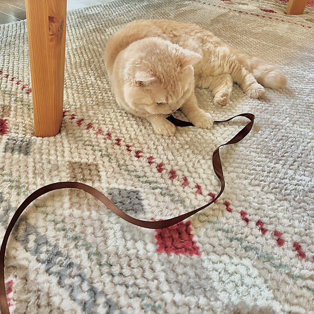 naokoさんの部屋