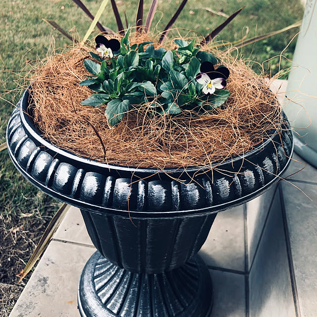 timmymamaさんの実例写真