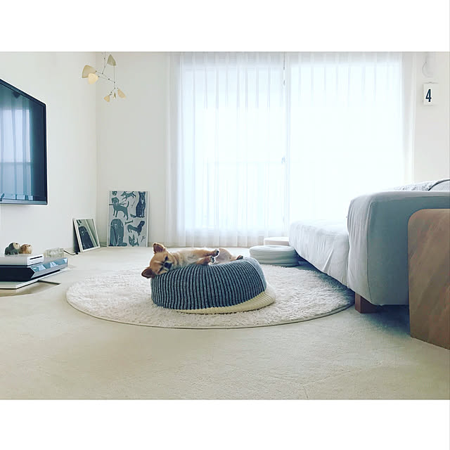 haruhinaさんの実例写真