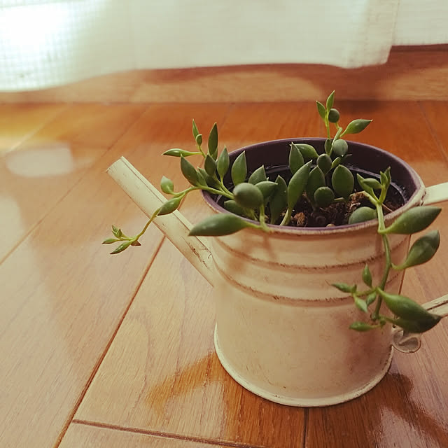 roseさんの実例写真