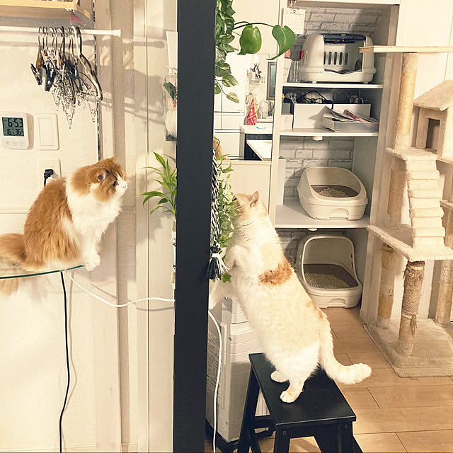 H.Tさんの実例写真