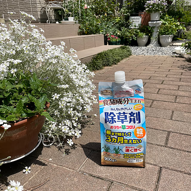 sugarcookieさんの実例写真