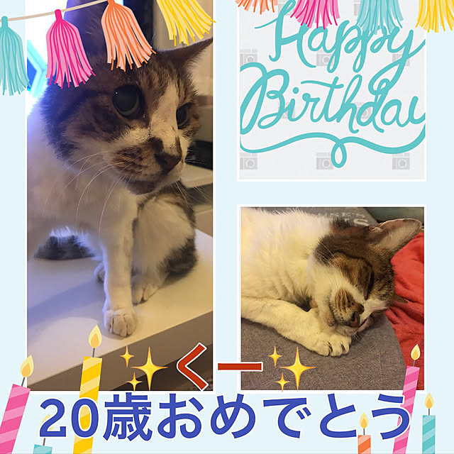 mi-mi-373さんの実例写真