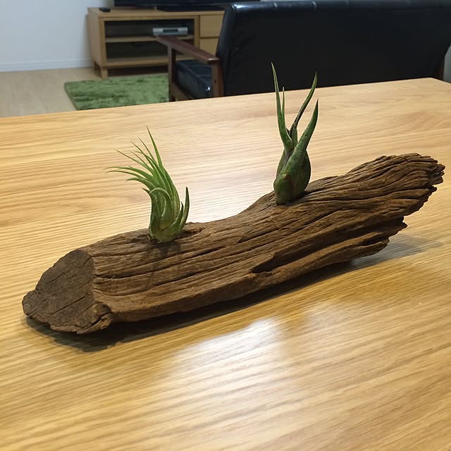 tototoshibooさんの実例写真