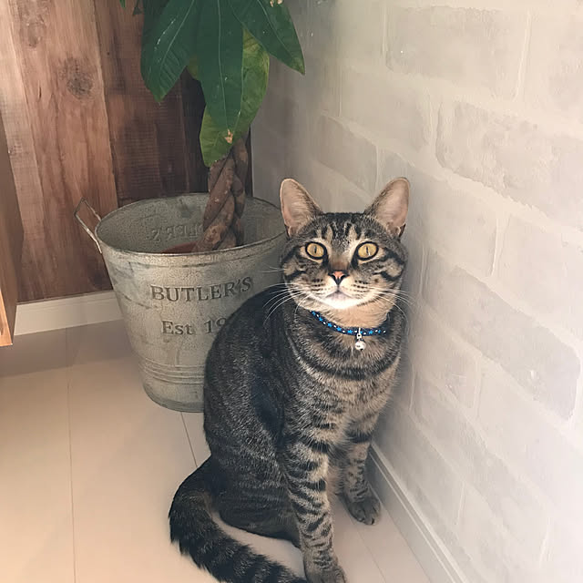 mmeeronさんの部屋