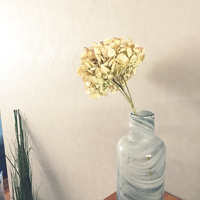 midorikaruriさんの実例写真