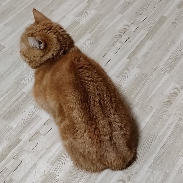 runaさんの実例写真