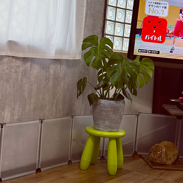 harumiさんの実例写真