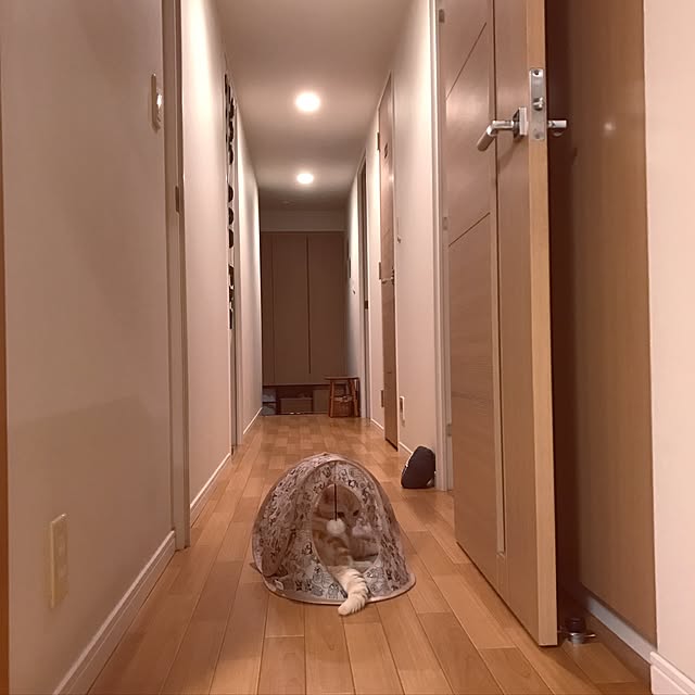hiyupan88さんの実例写真