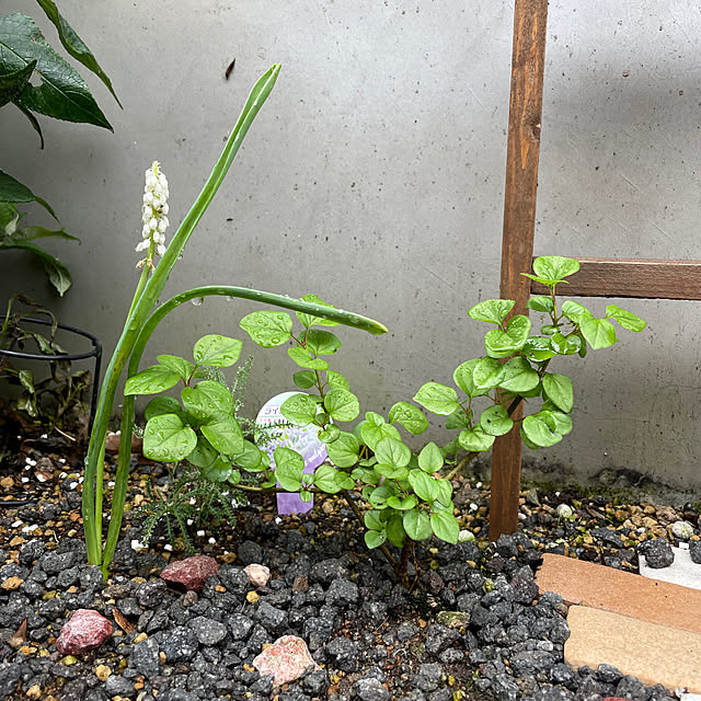 mayumiさんの部屋