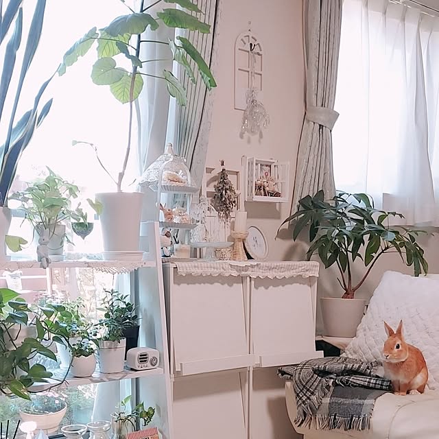 aikkoさんの部屋