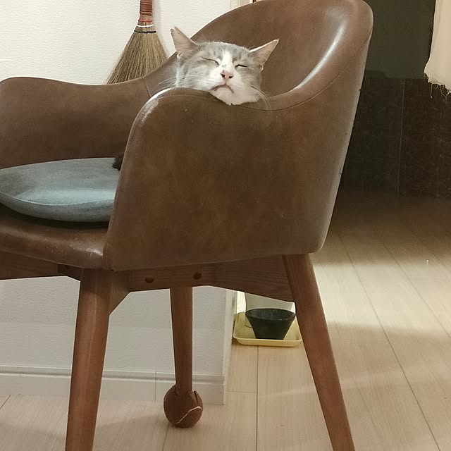 Yoko622さんの実例写真