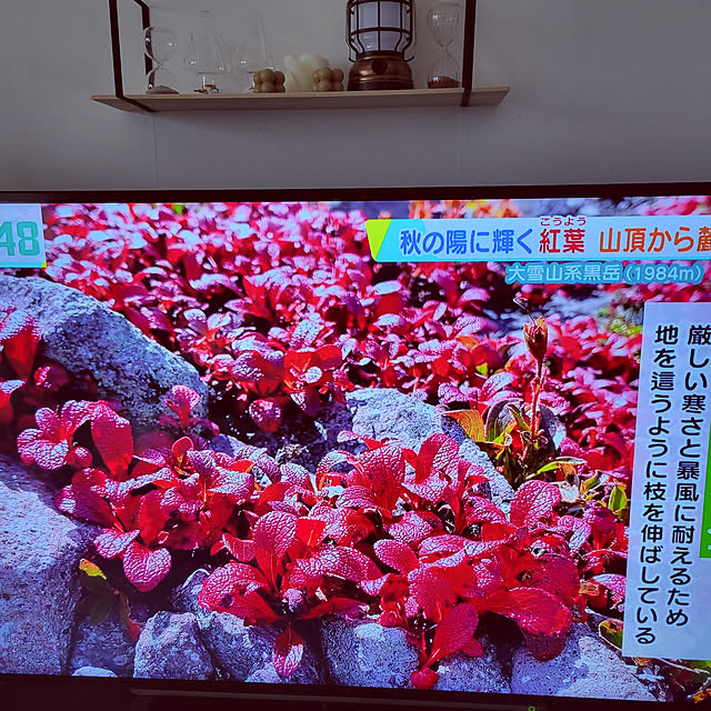 akimameさんの実例写真