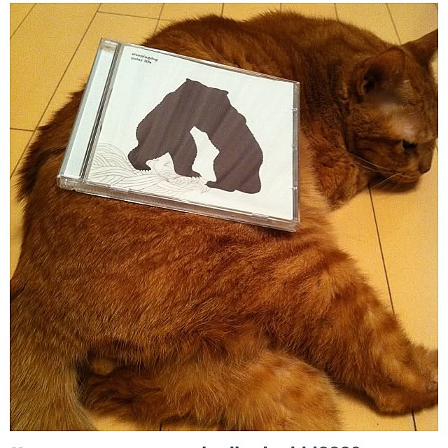 cyokotaroさんの実例写真