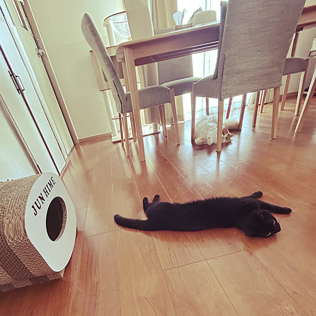 junさんの実例写真