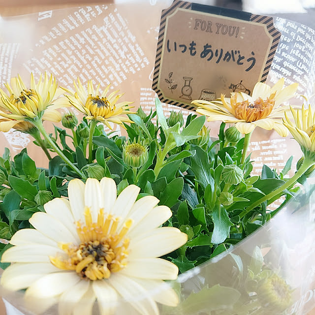 4-mamaさんの実例写真