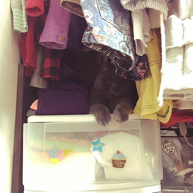 Shojiさんの実例写真