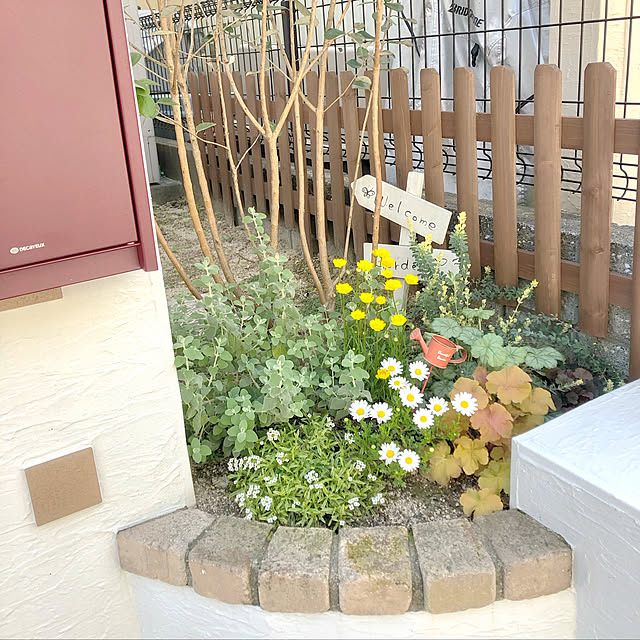 miporin708さんの実例写真