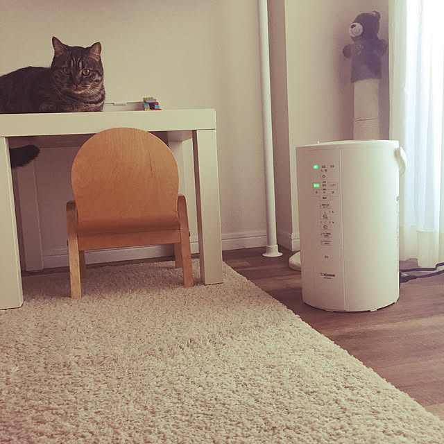 nocomomさんの実例写真