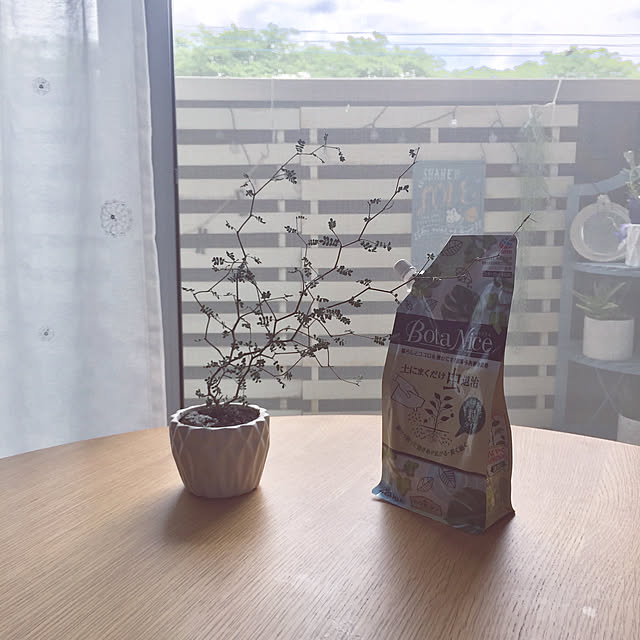 Minteaさんの実例写真