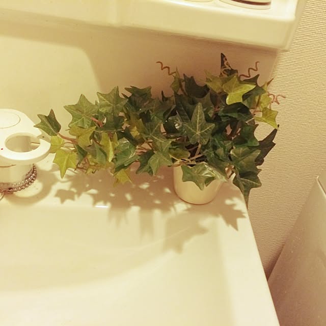 syokoさんの実例写真