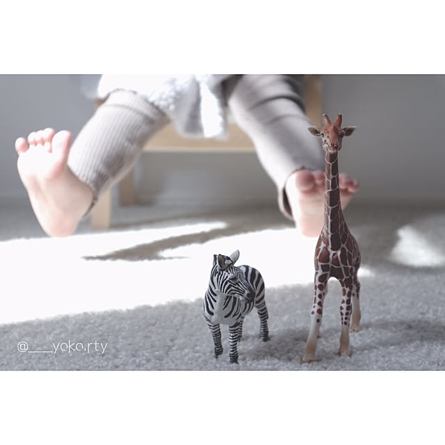 ___yoko.rtyさんの実例写真