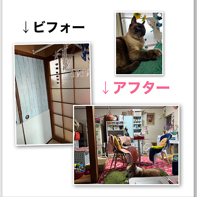 SIROさんの実例写真