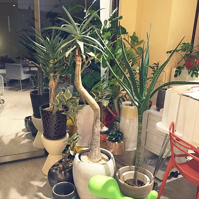 7500さんの実例写真
