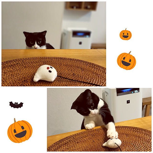 hihaさんの実例写真