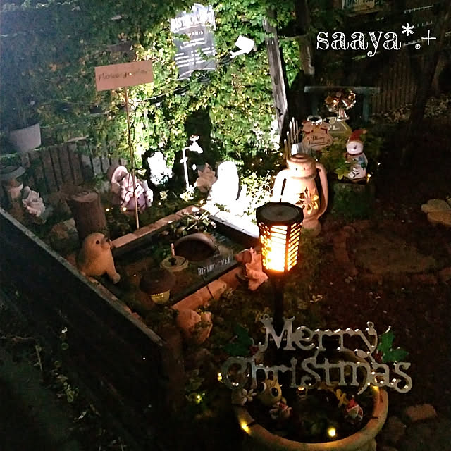 saayaさんの実例写真