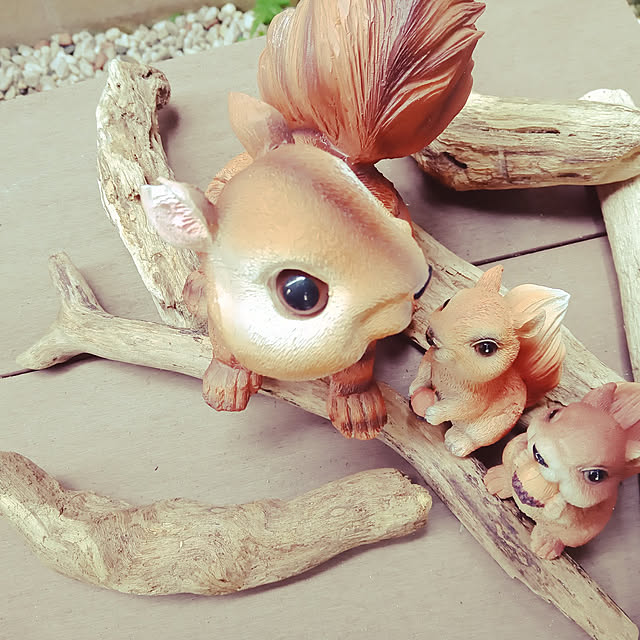 junjunさんの実例写真