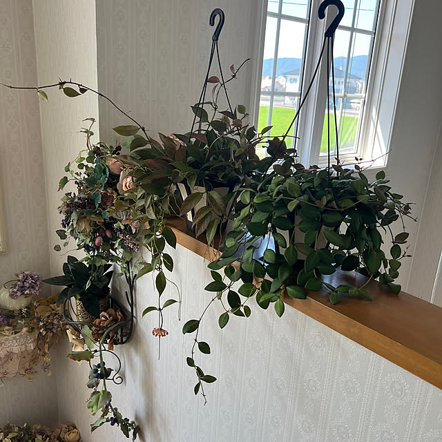 AYUKOさんの部屋