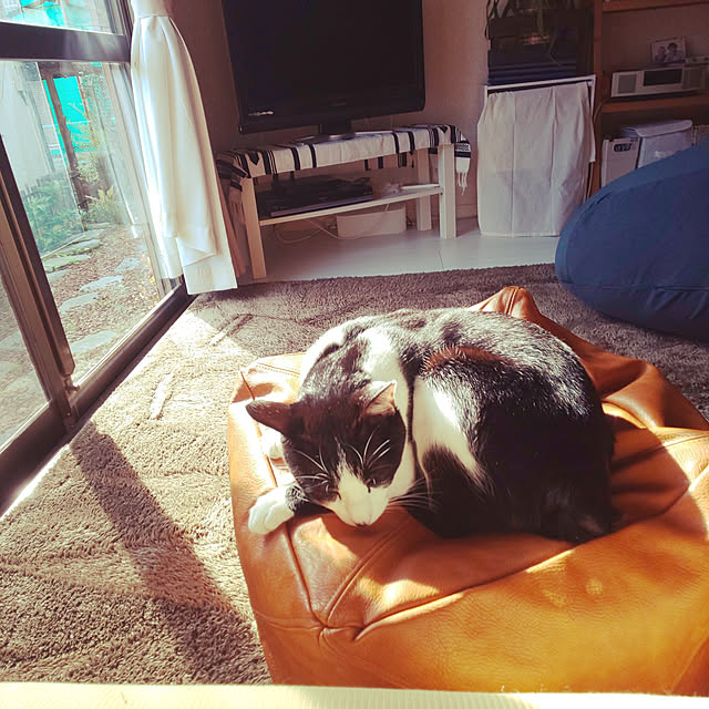 oseroさんの実例写真