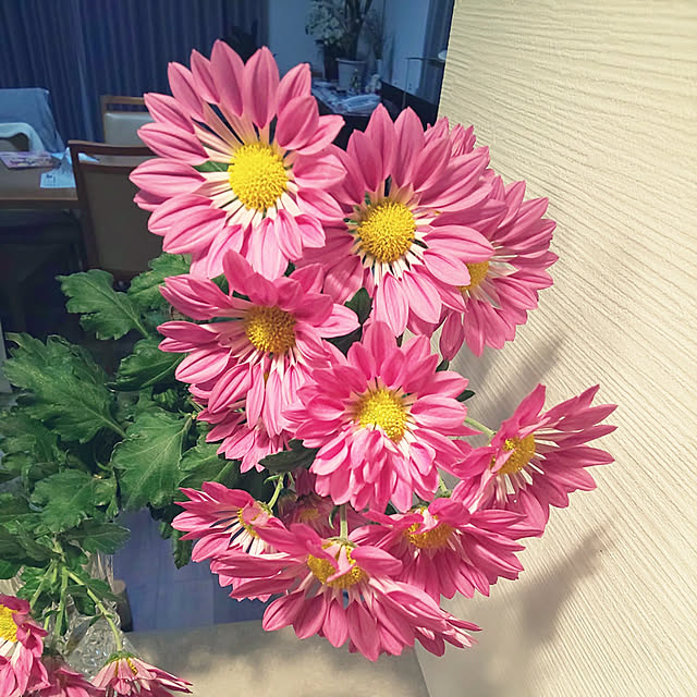 soraさんの実例写真