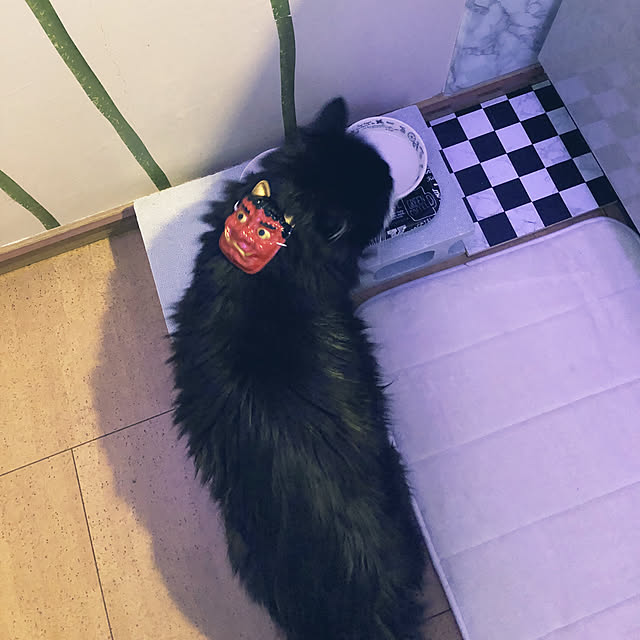 kanaさんの実例写真