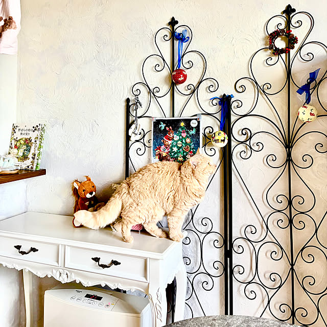 naokoさんの実例写真