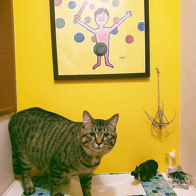 ayucchiさんの実例写真
