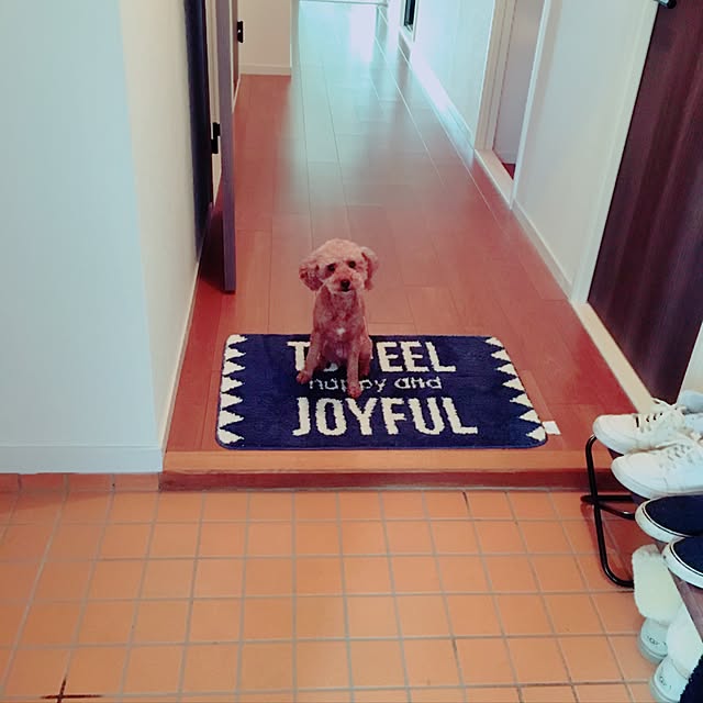 manaさんの実例写真