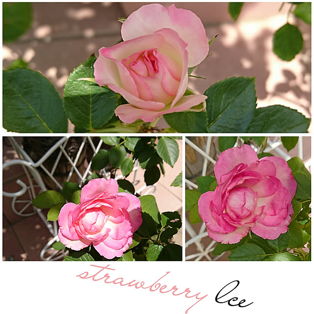 fleur-mamanさんの実例写真