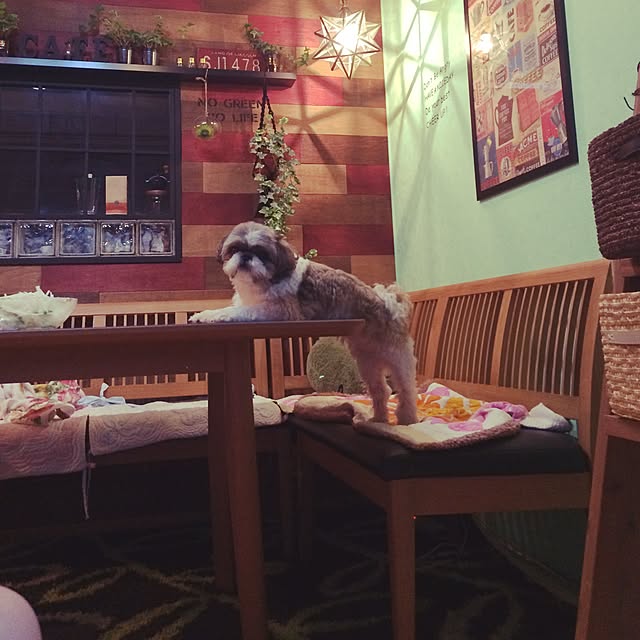 ANNAさんの実例写真